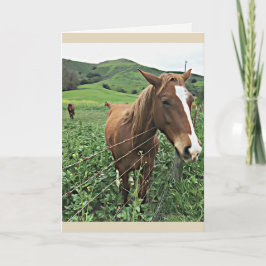 Horse Greeting Card Kaart