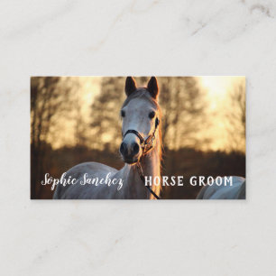 Horse Groom Photo Professional Visitekaartje