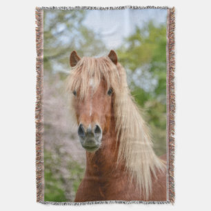 Horse Head Aegidienberger cross-IJsland en Paso Deken