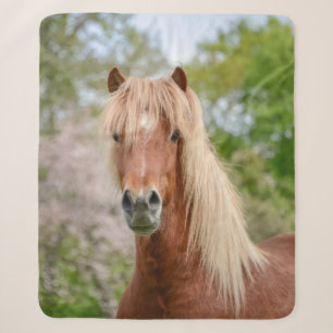Horse Head Aegidienberger cross-IJsland en Paso Sherpa Deken
