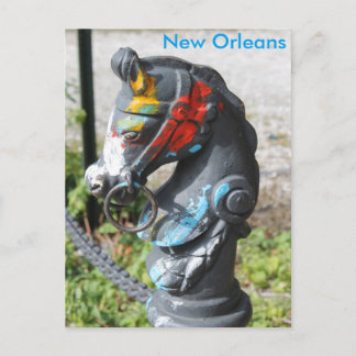 Horse Head Hitler Post Colorful New Orleans Briefkaart
