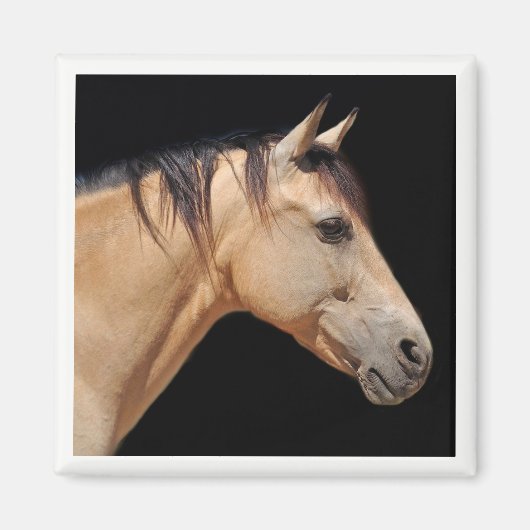 Horse Head Magnet Magneet (Voorkant)