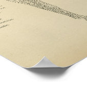 Horse Heart Arteries Anatomic Veterinary Print (Hoek)