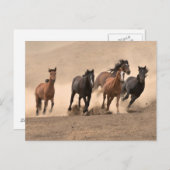 Horse In Fall II Briefkaart (Voorkant / Achterkant)