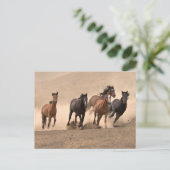 Horse In Fall II Briefkaart (Staand voorkant)