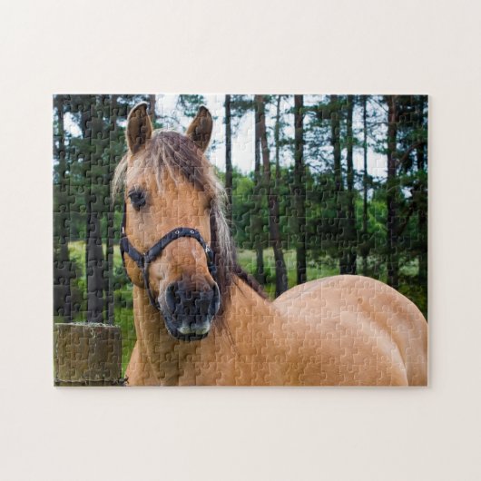 Horse Jigzaadpuzzel Legpuzzel (Horizontaal)