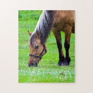 Horse Jigzaadpuzzel Legpuzzel