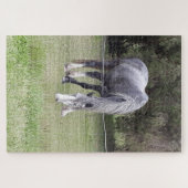 Horse Jigzaag Puzzle Legpuzzel (Horizontaal)