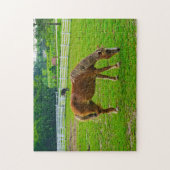 Horse Jigzaag Puzzle Legpuzzel (Verticaal)