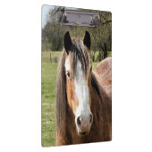 HORSE KLEMBORD (Rechts)