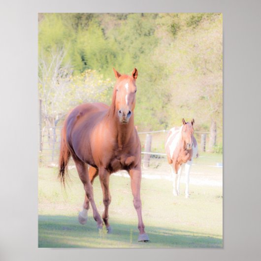Horse kunst poster (Voorkant)