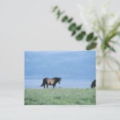 Horse, Lake en Mountain Scene Briefkaart (Staand voorkant)