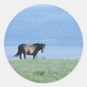 Horse, Lake en Mountain Scene Ronde Sticker