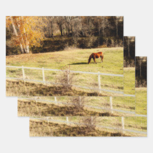 Horse land - herfst ontkoppeling inpakpapier vel