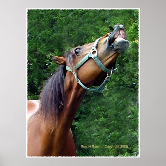 Horse Laugh Poster (Voorkant)