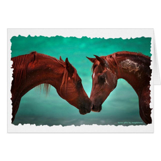 Horse Love (Voorkant Horizontaal)