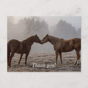 Horse Love Dank je Briefkaart