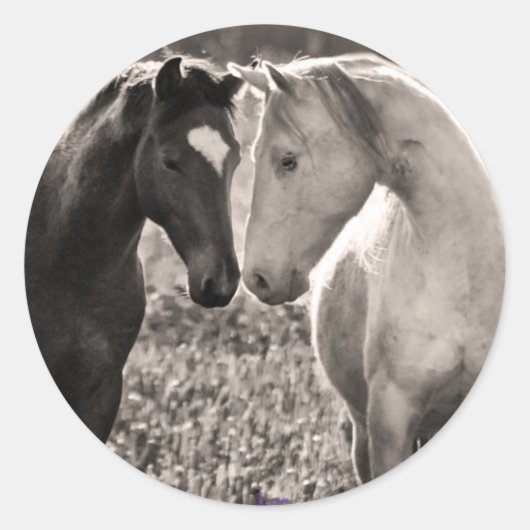 Horse Love Ronde Sticker (Voorkant)