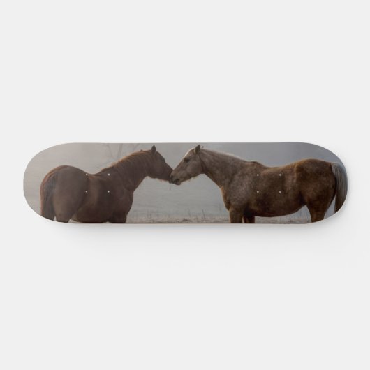 Horse Love Skateboard (Horz)
