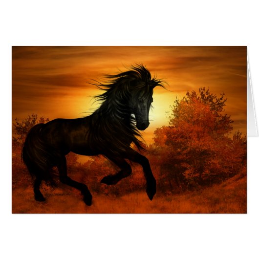Horse Lover Black Stallion Horse Blank (Voorkant Horizontaal)