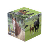 Horse Lover's aangepaste foto kubus (Achter hoekig)