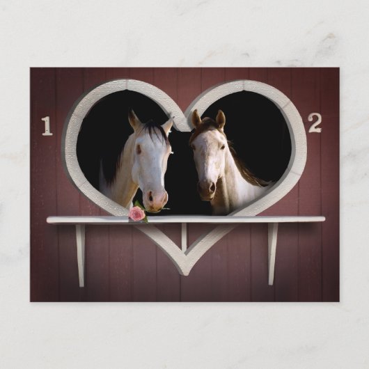 Horse Lovers Briefkaart (Voorkant)