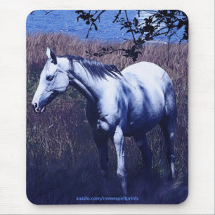 HORSE MAGIC COLLECTIE MUISMAT