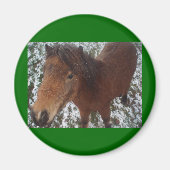 HORSE MAGNEET (Voorkant)