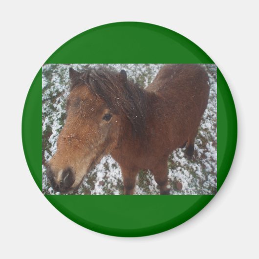 HORSE MAGNEET (Voorkant)