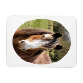 HORSE MAGNEET (Horizontaal)
