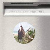 Horse Magnet Beach (In Situ (Lave-vaisselle))