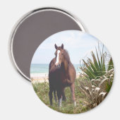 Horse Magnet Beach (Recto/Verso)