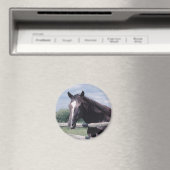 Horse Magnet Magneet (Insitu (Vaatwasser))