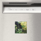 Horse Magnet Magneet (Insitu (Vaatwasser))