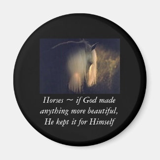 Horse magnet magneet