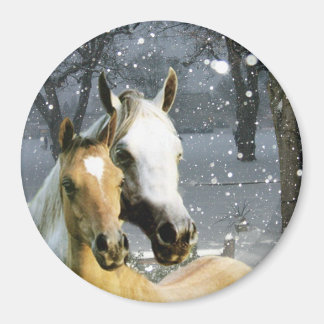 Horse Magnet Magneet