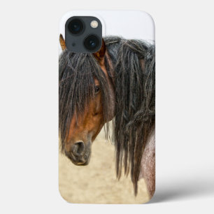 Horse Mane iPhone 13 Hoesje
