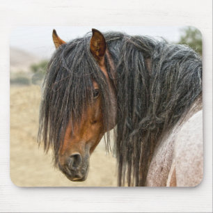 Horse Mane Muismat