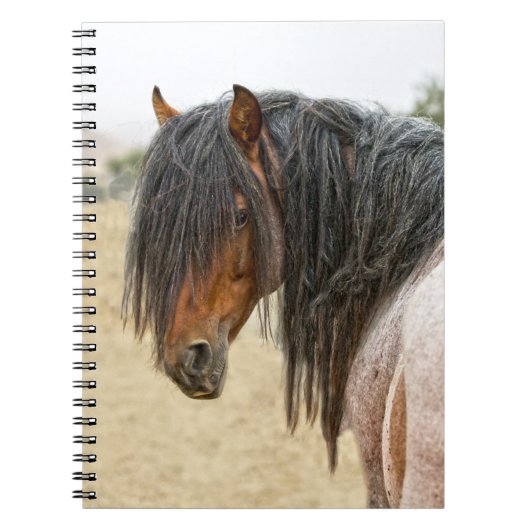Horse Mane Notitieboek (Voorkant)