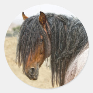 Horse Mane Ronde Sticker