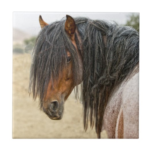 Horse Mane Tegeltje (Voorkant)