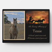 Horse Memorial Aangepaste foto Spiritueel Fotoplaat (voorkant)