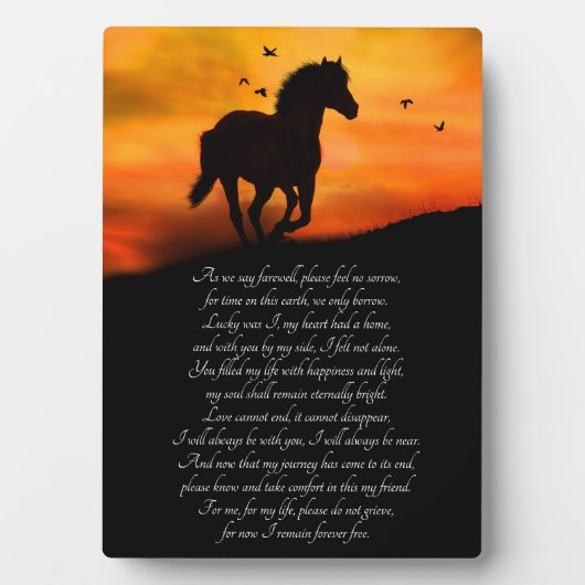 Horse Memorial met gedicht Fotoplaat (voorkant)