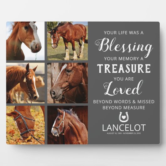 Horse Memorial Photo Collage Fotoplaat (Voorkant)