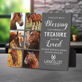 Horse Memorial Photo Collage Fotoplaat