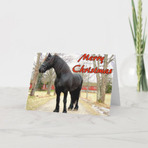 Horse Merry Kerstmis.jpg Feestdagen Kaart