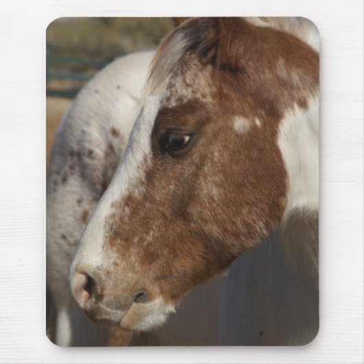 Horse Mousepad Muismat (Voorkant)