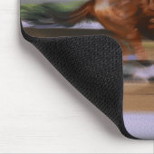 HORSE MUISMAT (Hoek)