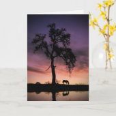 Horse Oak Tree Natuur Water Denken aan jou Kaart (Gele Bloem)