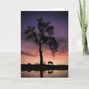Horse Oak Tree Natuur Water Denken aan jou Kaart